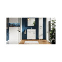 MIRROR CABINET BASIC 60 2D