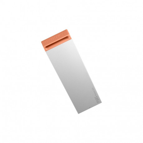 External SSD - Lenovo 4XB1T88413 2 TB USB Type-C 3.2 Gen 2 1050 MB/s Grey