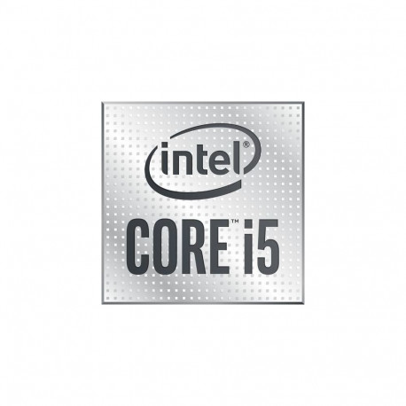 Intel Core i5-10400F processor 2.9 GHz 12 MB Smart Cache Tray