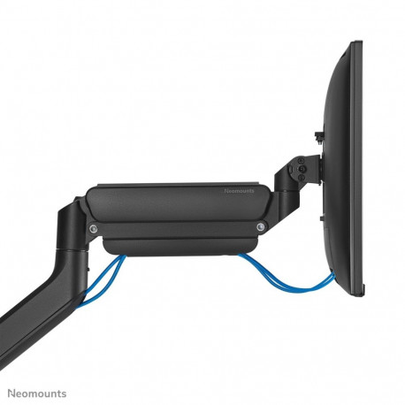 Neomounts lauale kinnitatav monitori arm kaardus ülilaiade ekraanide jaoks