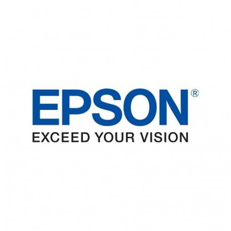 Ink Cartridge - Epson C13T04Q100 Black Pigment Ink For Business Printers
