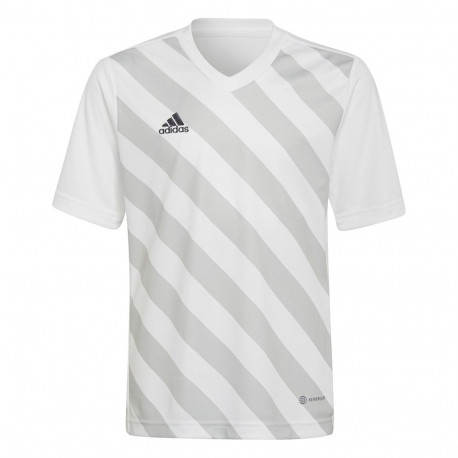 Koszulka dla dzieci adidas Entrada 22 Graphic Jersey biało-szara HF0120