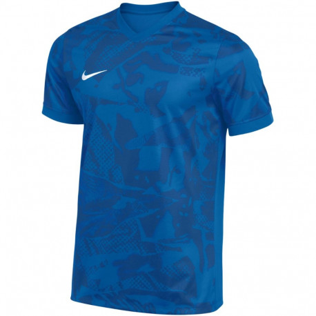 Nike meeste t-särk Dri-Fit Precision VII FZ9332 463 M, sinine