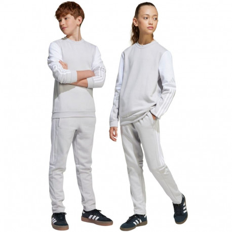 adidas laste dressipüksid Squadra 25 JD4823, hall