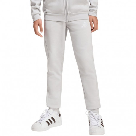 Adidas laste dresipüksid Entrada 26 JZ9137, hall