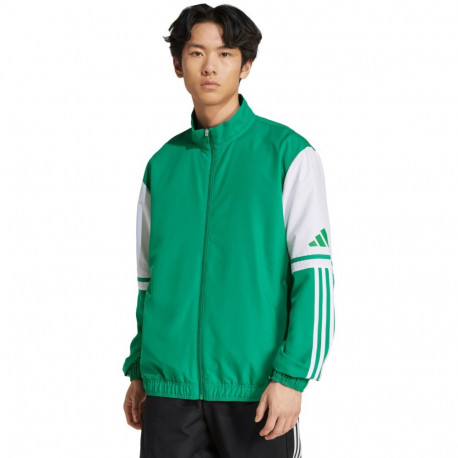 Adidas meeste pusa Squadra 25 Presentation JP3165, roheline