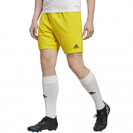 Adidas meeste lühikesed püksid Entrada 22 IC7404, kollane
