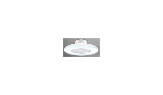 Beper P206VEN650