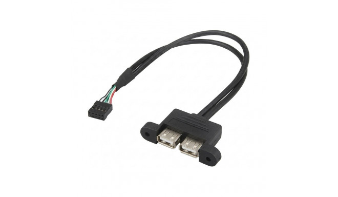 "ASROCK DESKMINI 2XUSB2.0 CABLE"