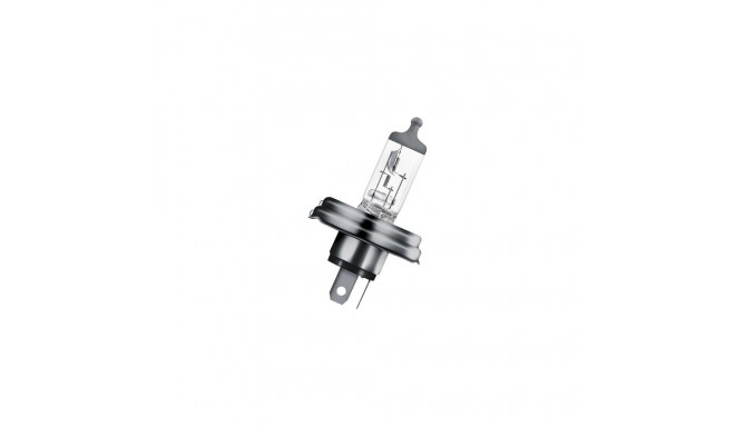 Osram 144752 car light bulb Halogen