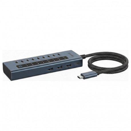 "10-in-1 Hub IcyBox USB 3.2 mit 10 Anschlüssen"