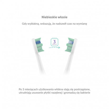 TrueLife SonicBrush Clean30 Duo Sonic Toothbrush