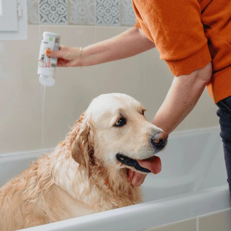 VIRBAC Allerderm normal skin - shampoo for dogs and cats - 250 ml
