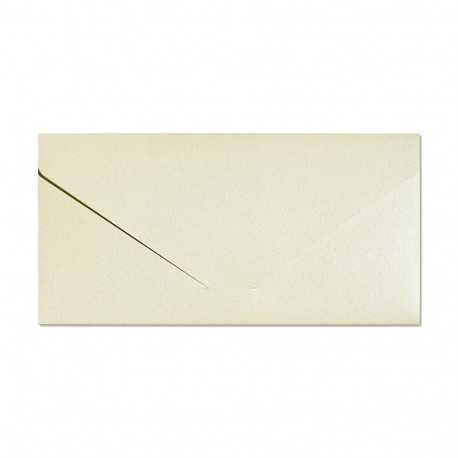 Ümbrik taskuga Pearl Cream DL/SP 220g 5tk/pk