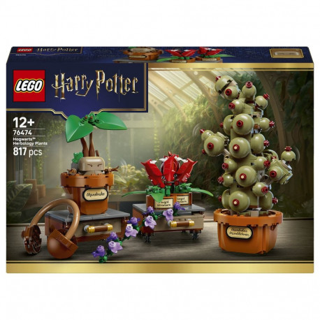 Harry Potter Hogwartsi loss 76474 taimetarkuse taimed
