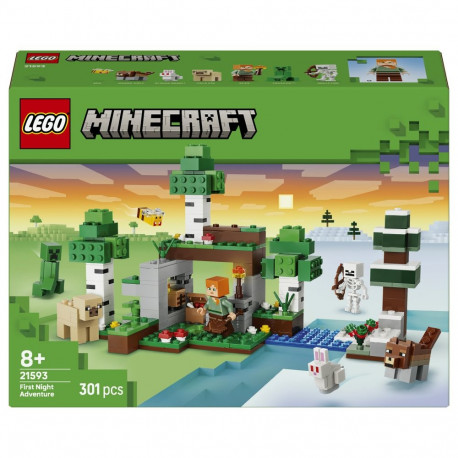 LEGO komplekt 21593 Minecraft esimene öine seiklus (2.5.)