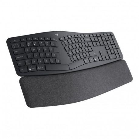 "ERGO K860 FOR BUSINESS GRAPHITE"
