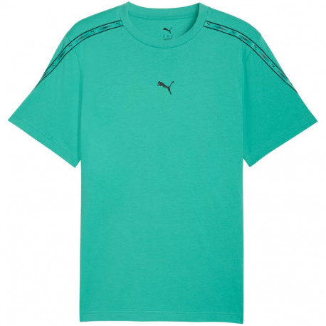 Puma meeste t-särk Tape Tee 691693 40, roheline