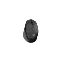 2in1 wireless set Stingray 2 tilt wheel