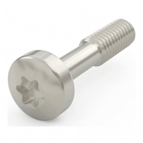 "SCHROFF Halsschraube mit Torx - HALSSCHR.12.3 TORX NI 100ST"