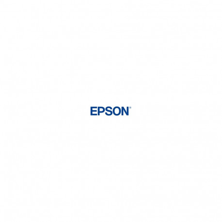 Epson T8871 (C13T887100) Ink Cartridge, Black