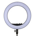 B STOCK Godox LR160 LED Ring Light Black