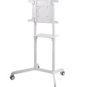 NS-M1250 WHITE floor stand 37-70'' 70KG 200x200-600x400