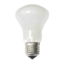Elinchrom Modeling Lamp 100W/90V E27
