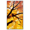 "Sharp MultiSync M322 Digital Signage Display 80 cm 32 Zoll"