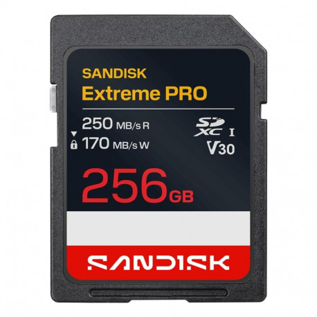 SANDISK BY WESTERN DIGITAL MEMORY SDXC 256GB UHS-1/SDSDXXJ-256G-GSCIN