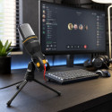 EH182 Esperanza mikrofon studio pro