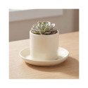 CERAMIC PLATE CHARMS D16 PANACOTTA