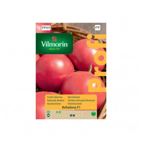 TOMATOE BELLADONA F1 20G