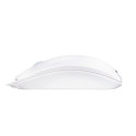 CHERRY Mouse WHEELMOUSE OPTICAL white grey