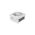 Gigabyte GP-AE850PM PG5 ICE