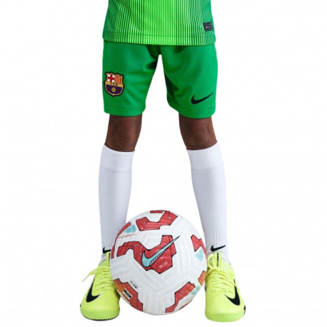 Nike laste väravavahi lühikesed püksid FC Barcelona 2025/26 Stadium HQ0475 310, rohelised