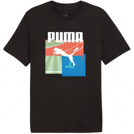 Puma meeste t-särk Graphics Summer Sports Tee II 627909 01, must