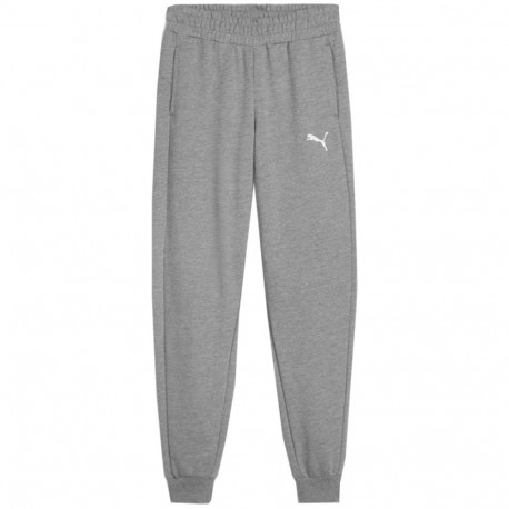 Puma laste püksid Team Goal 658601 33, hall
