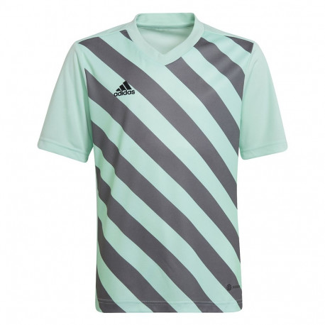 Adidas laste särk Entrada 22 Graphic Jersey HF0127, mündihall