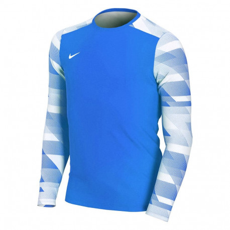 Nike laste väravavahi särk Dry Park IV JSY LS GK JUNIOR CJ6072 463, sinine