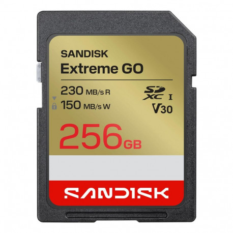 SanDisk mälukaart SDSDXGN-256G-GNCIN SDXC 256GB UHS-I (619659227906)