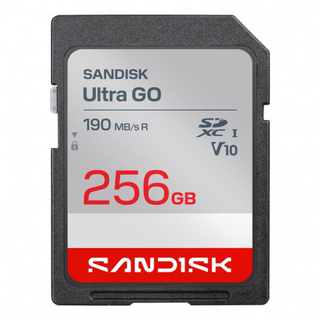 MEMORY SDXC 256GB UHS-I/SDSDUGN-256G-GN6IN SANDISK SDSDUGN-256G-GN6IN (619659228880)