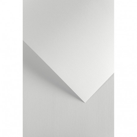 Dekoratiivpaber A4 CANVAS white 20 pcs./box 240 g/m2