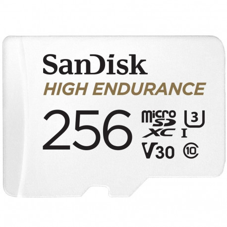 SanDisk High Endurance     256GB microSDHC     SDSQQNR-256G-GN6IA