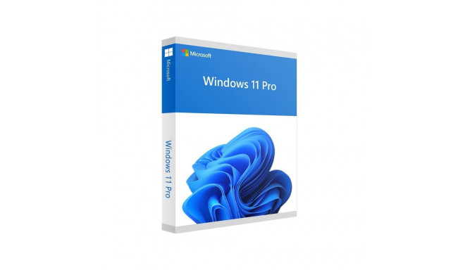 Software|MICROSOFT|Win Pro FPP 11 64-bit Eng Intl USB|Win Pro|Retail|HAV-00163
