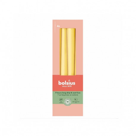 Bolsius Table candles, 4 pcs. in a box, 245/24 mm, yellow
