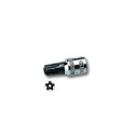 Socket driver Tamper TORX Plus TT+20 1/4"