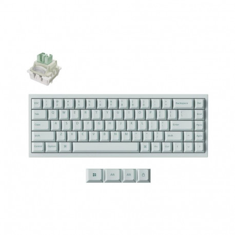 KEYBOARD USB-C Q16 HE 8K/LIGHT GREEN Q16HW-L1 KEYCHRON Q16HW-L1 (4894979045751)
