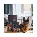 ADDVENA Boosted by superfoods Adult Medium/Large Beef - dry dog food - 2,5kg