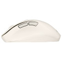 Asus hiir MD105 juhtmevaba, valge